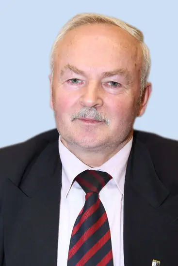 molis vygaudas