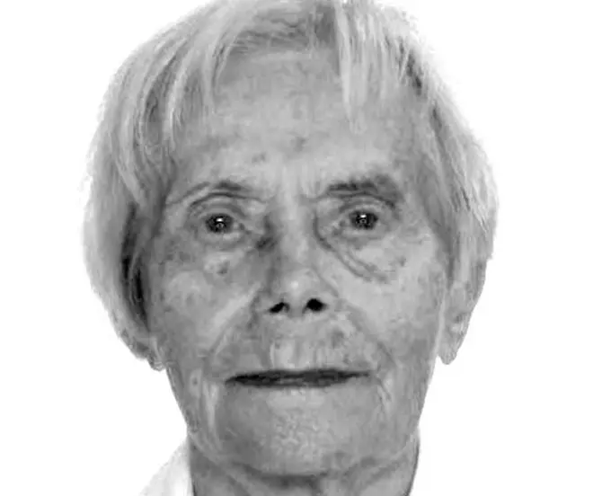 moteris dingusi
