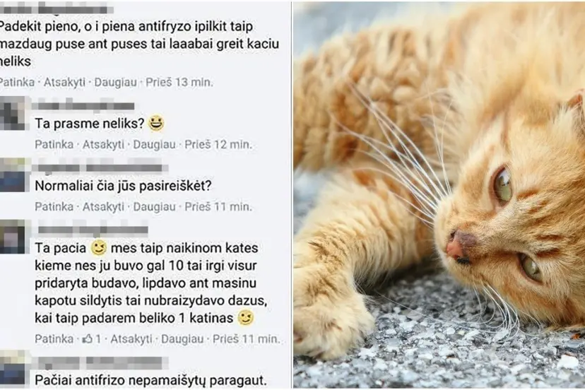 moteris pasiule buda naikinti laukines kates