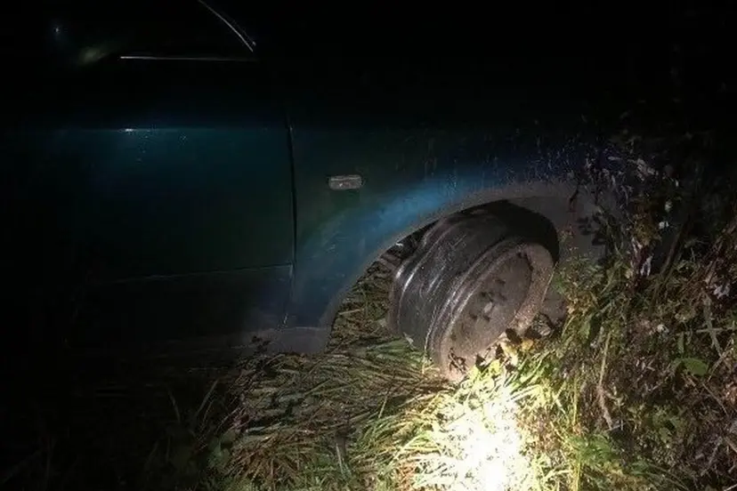 netiketai uzklupti kontrabandininkai susoko i audi a6 ir spruko miskai 85570487