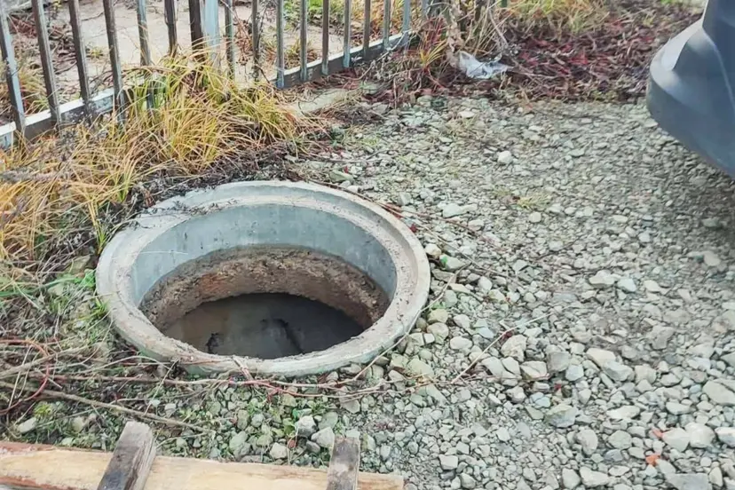 nuotrauka