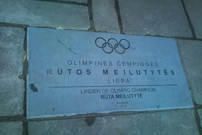 olympic fail