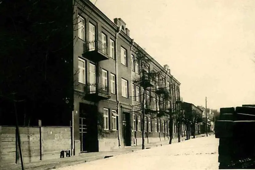 ozesk 01