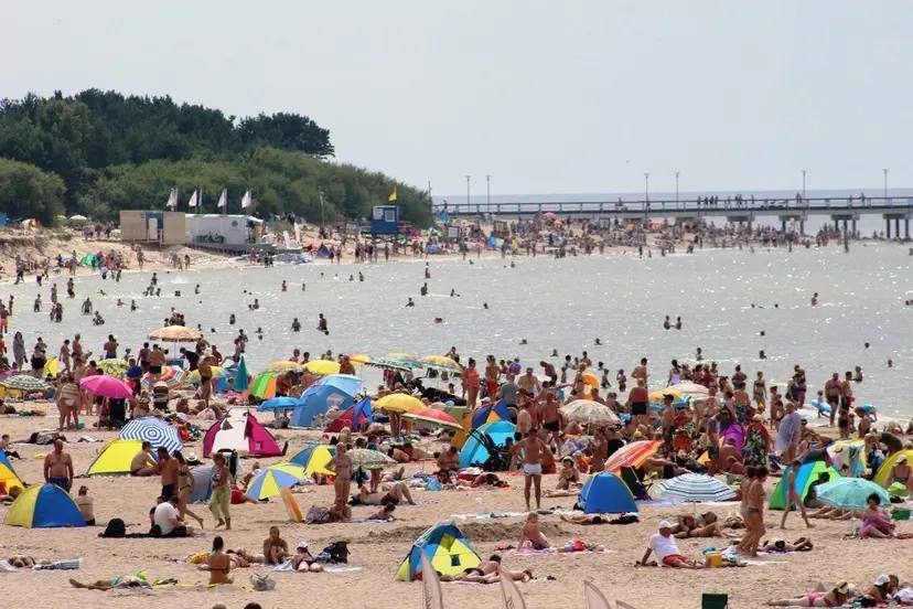 palanga 75471005