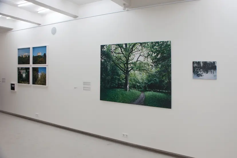parodos instaliacija kauno fotografijos galerijoje