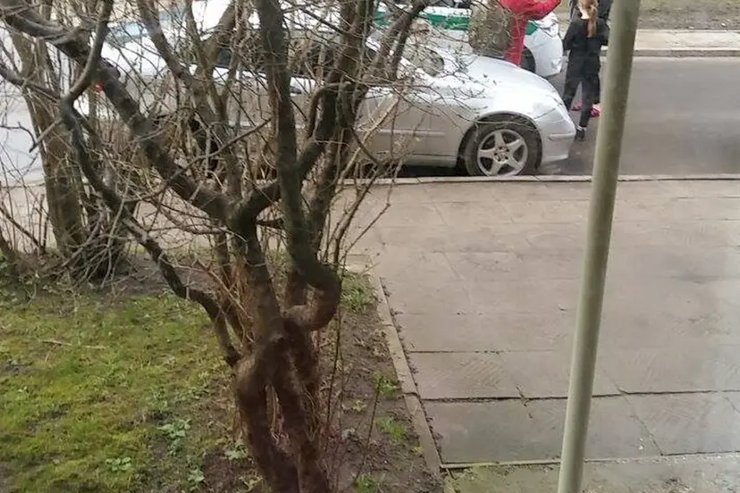 partrenktas vaikas ir mama