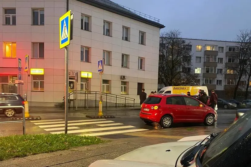 petrasiunu ziedas