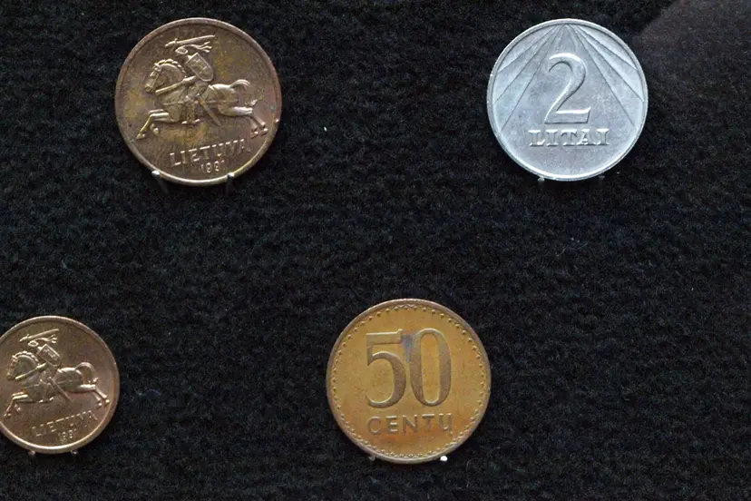 pinig paroda kaune 17