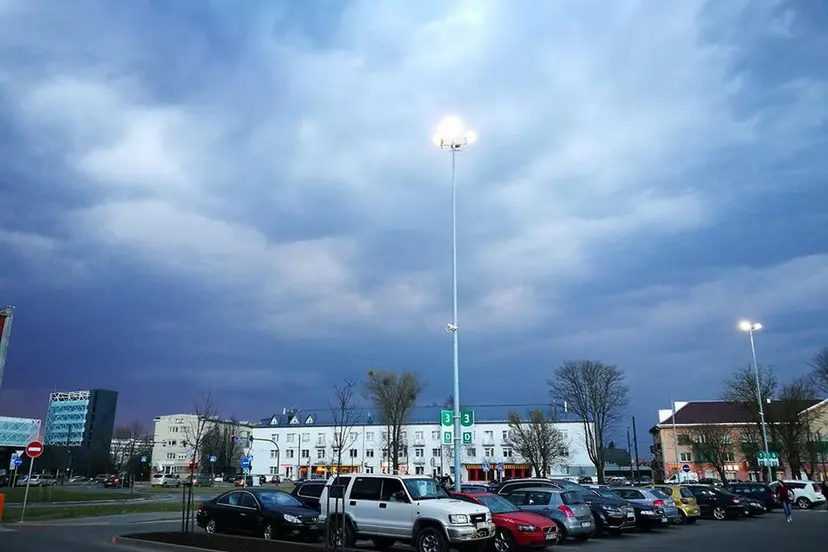 pirmoji liutis 13