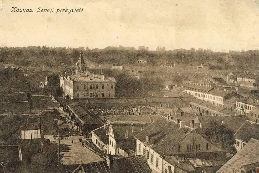 porek 01