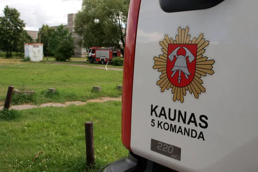 pratybos daugiabutyje 14