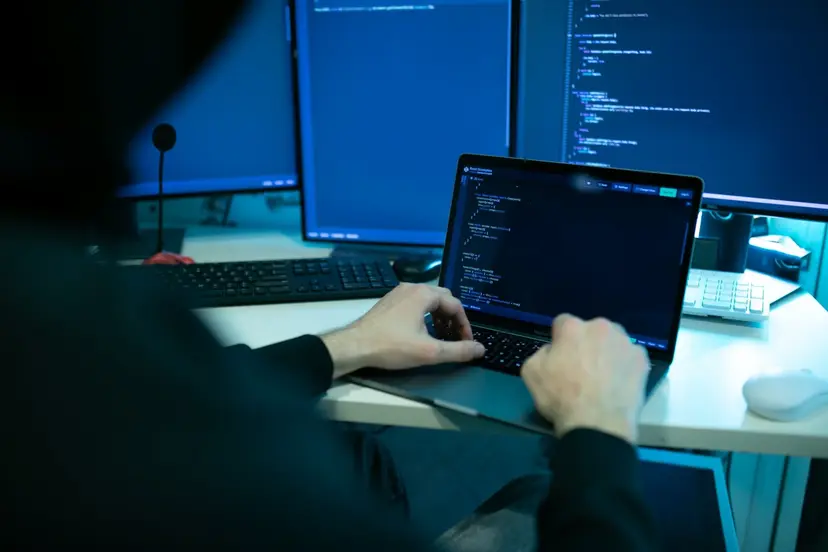 programisius 82818775