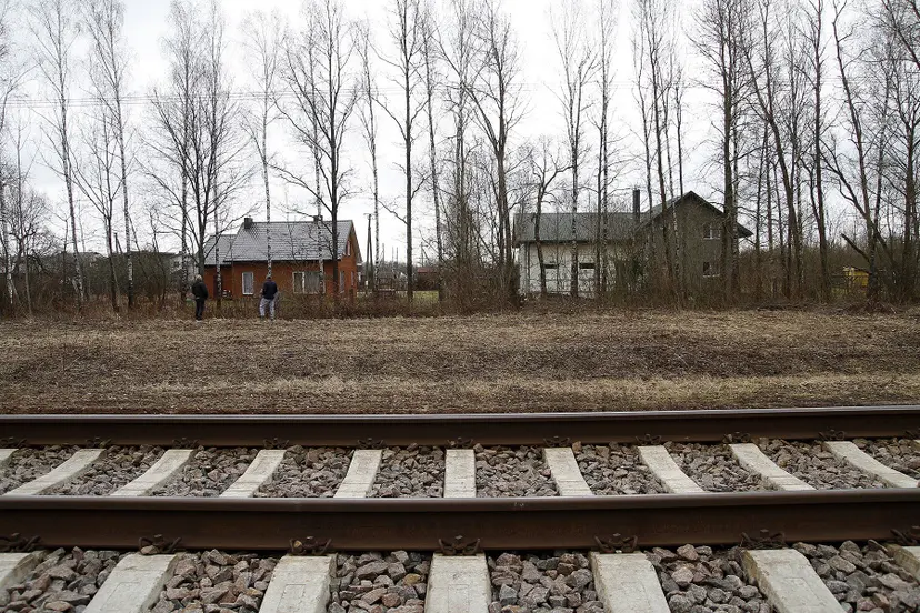 rail 11