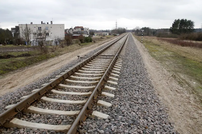 rail 5