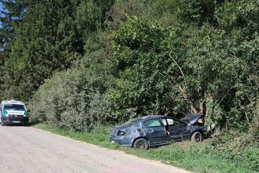 raseiniu rajone po smugio i medi i kauno klinikas nuveztos moteris ir 91100135
