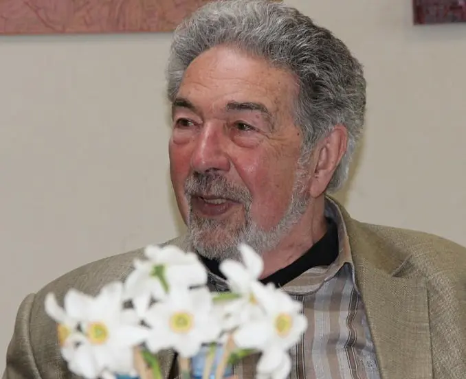s rubikovas