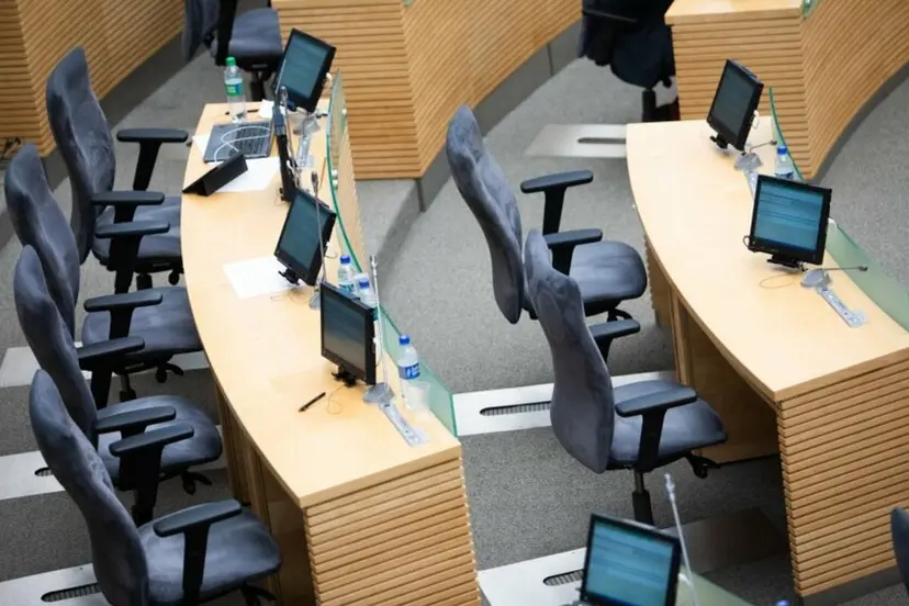 seimas 81592649