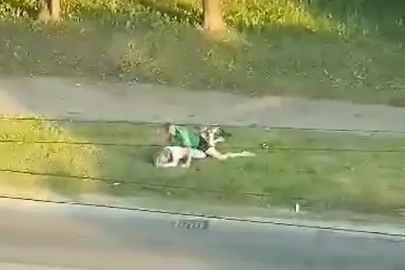 sekso scena breslaujos gatvje 5555