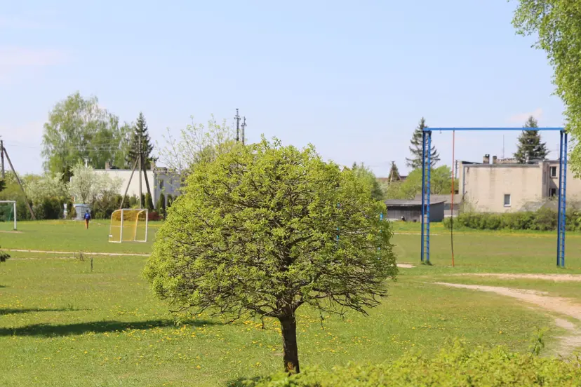 senasis vilkijos stadionas bus rekonstruotas