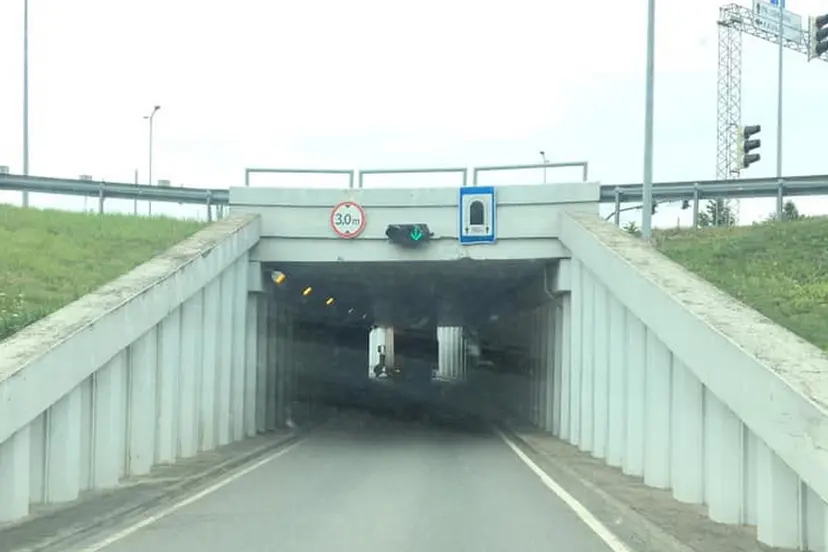 skunkveimis strigo prie megos