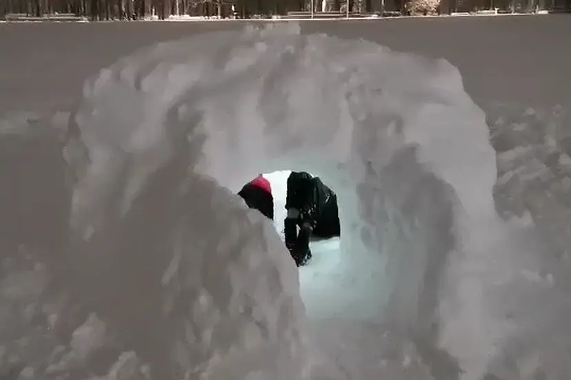 sniego namas
