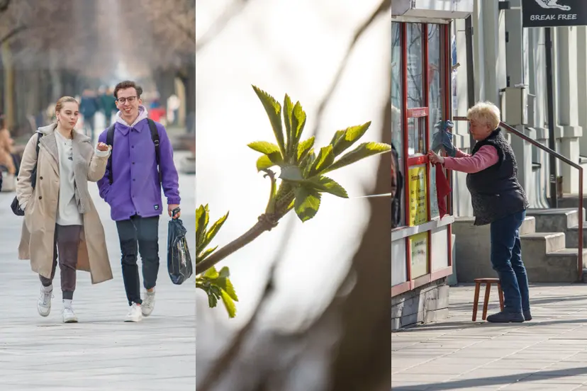spring