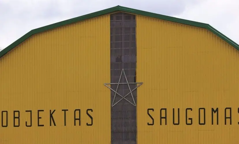 surviliki vaigd