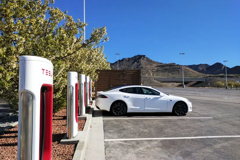 tesla david nuescheler unsplashcom nuotr 1