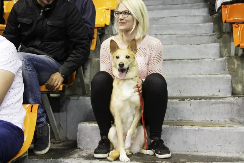 un paroda kauno sporto halje 05