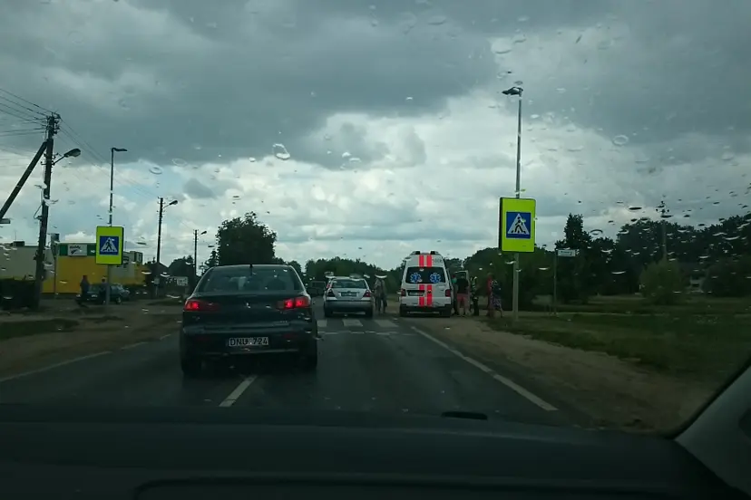 vaisvydava