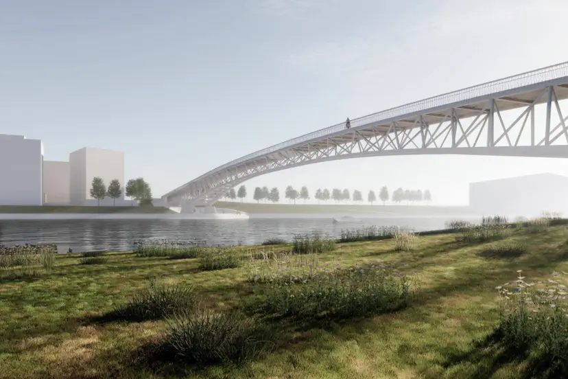 vaizdas nuo nemuno salos puses