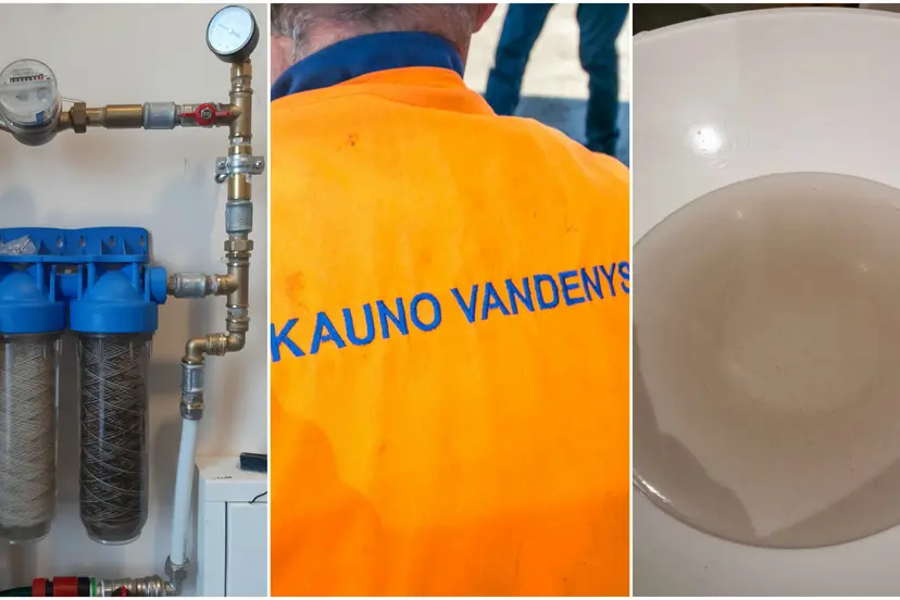 vandnenys