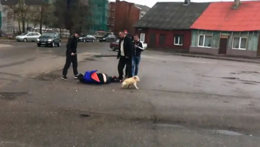 vid