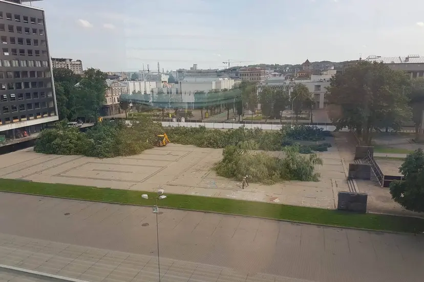 vienybs aiktje ikirsti mediai