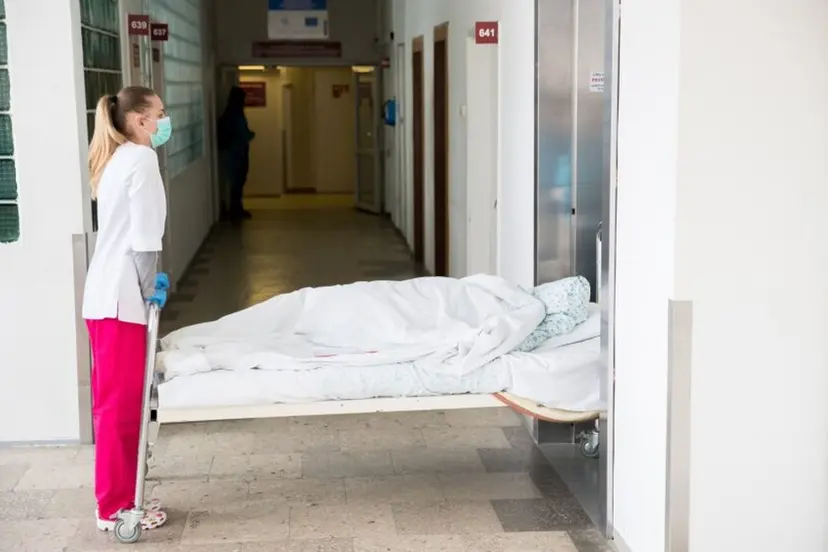 vilniaus miesto klinikine ligonines maisto patikrinimas 77185265