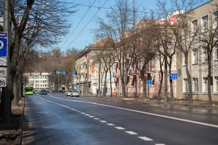 vytauto prospekte nauji medziai