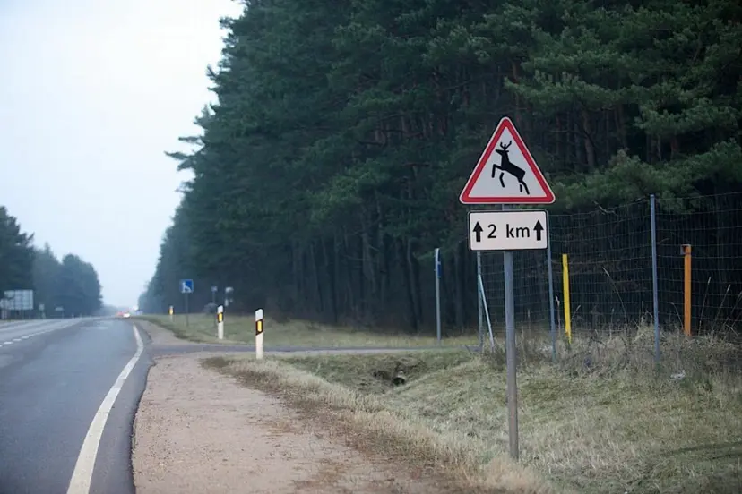 zenklas laukiniai gyvunai