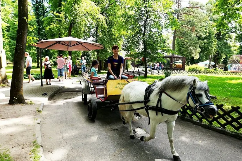 zoo
