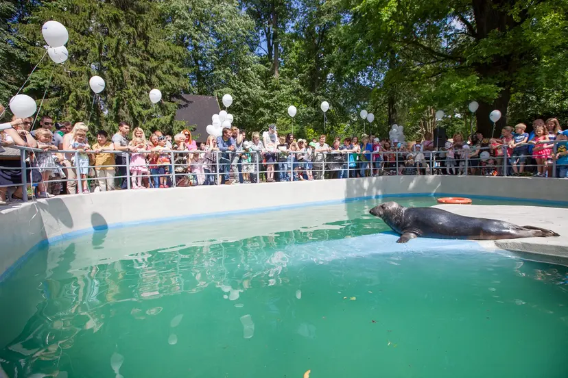 zoo ruonis 1