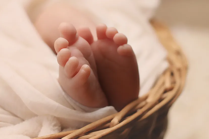 baby basket blanket 161534