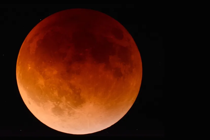 bloedmaan pixabay