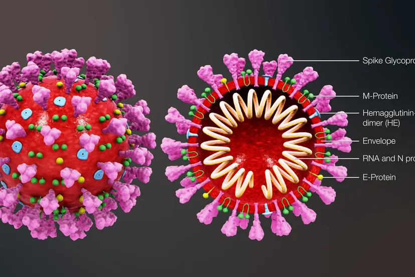 coronavirus creative commons attribution share alike 40 international license