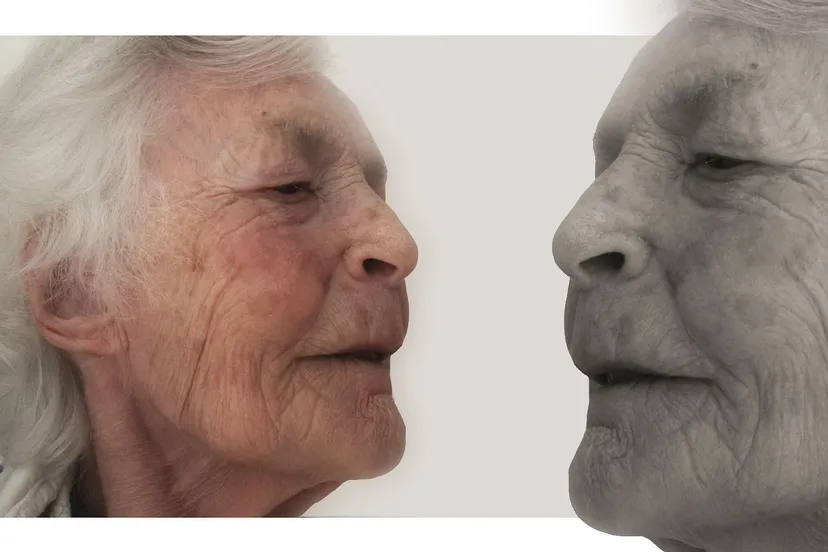 dementie cco public domain