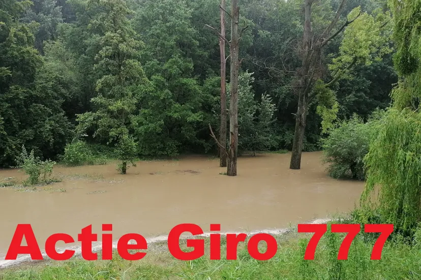 img 20210714 155111 2