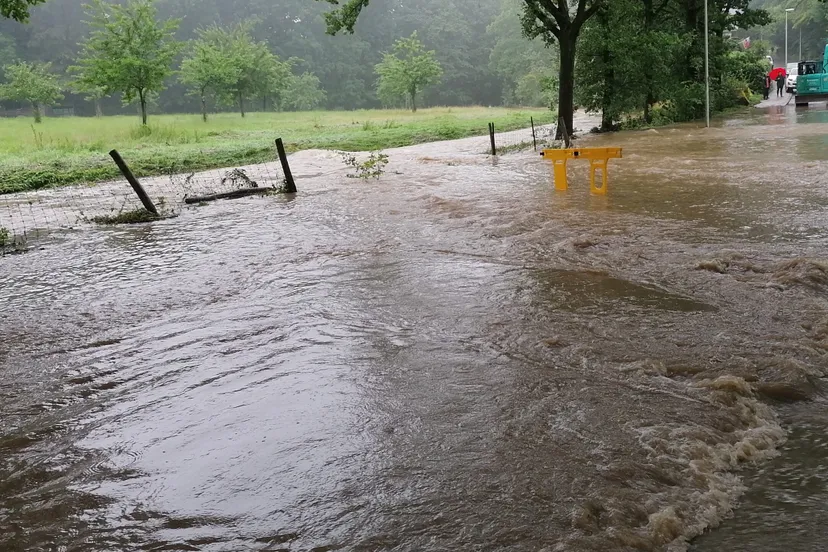 img 20210714 155408 scaled