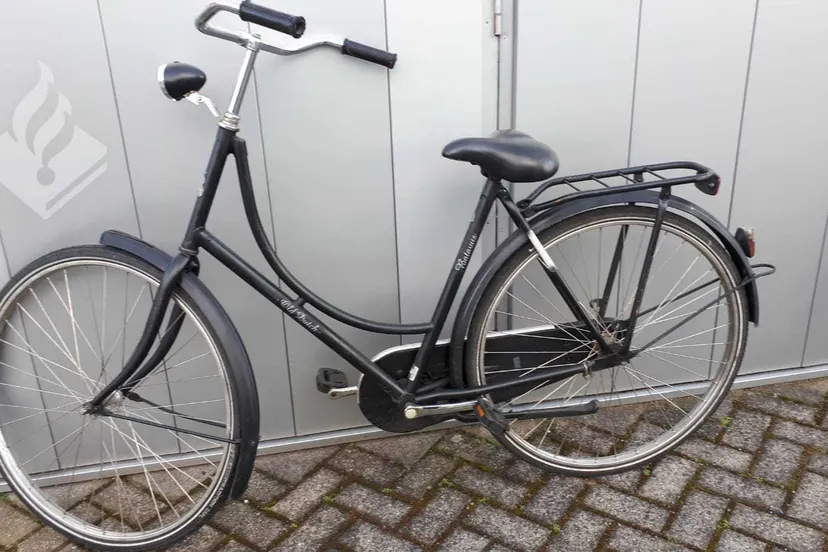 155284514 3686155018120480 5410326531206230073 o