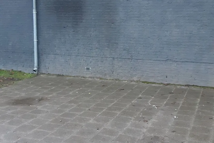 263887982 277863631049699 7064399627127979011 n 1