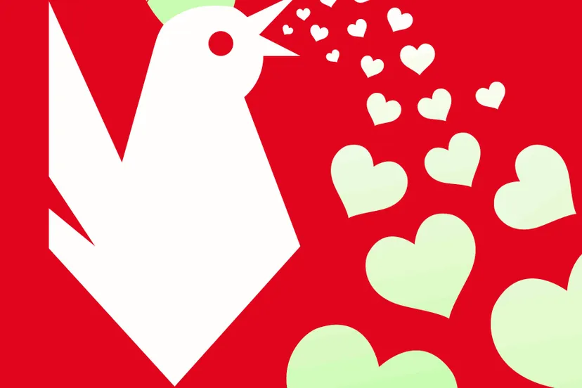 272683861 445412606971790 2974170557972598328 n