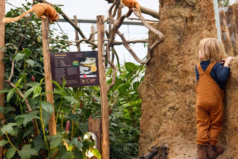 277353106 5108169869235312 4622892763088540099 n