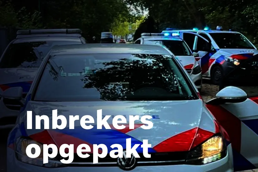 310555499 477283301107730 3040340182379990335 n